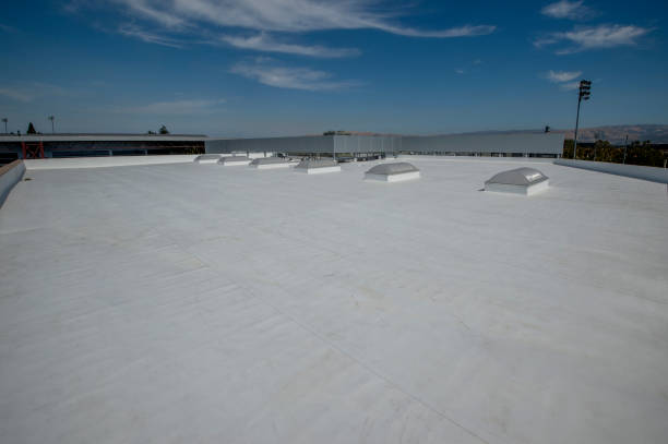 Roof Coating Services in Roxboro, NC