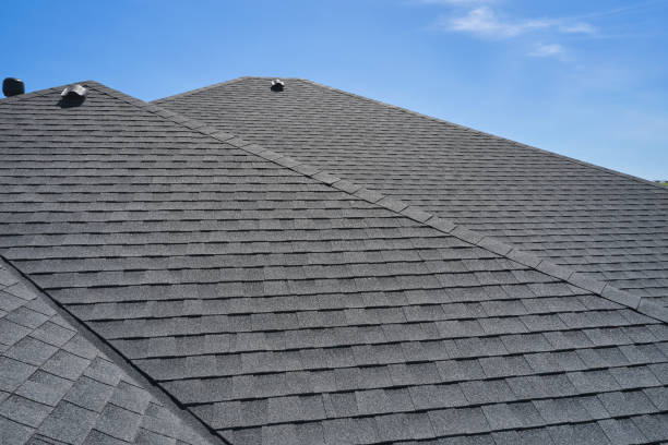 Best Roof Coating and Sealing  in Roxboro, NC